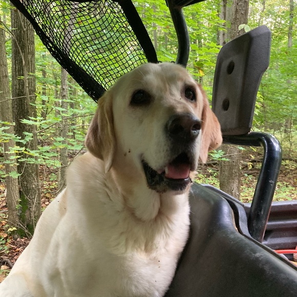 Meet your Posher, Doug - Picture 2 of 2